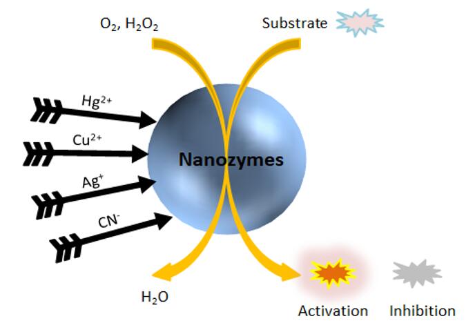 ナノザイムによるイオン検出 - Creative Enzymes