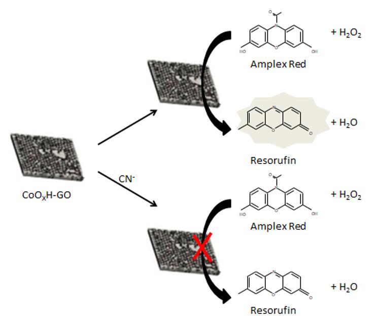 CQDsの合成のための典型的なアプローチ。 - Creative Enzymes