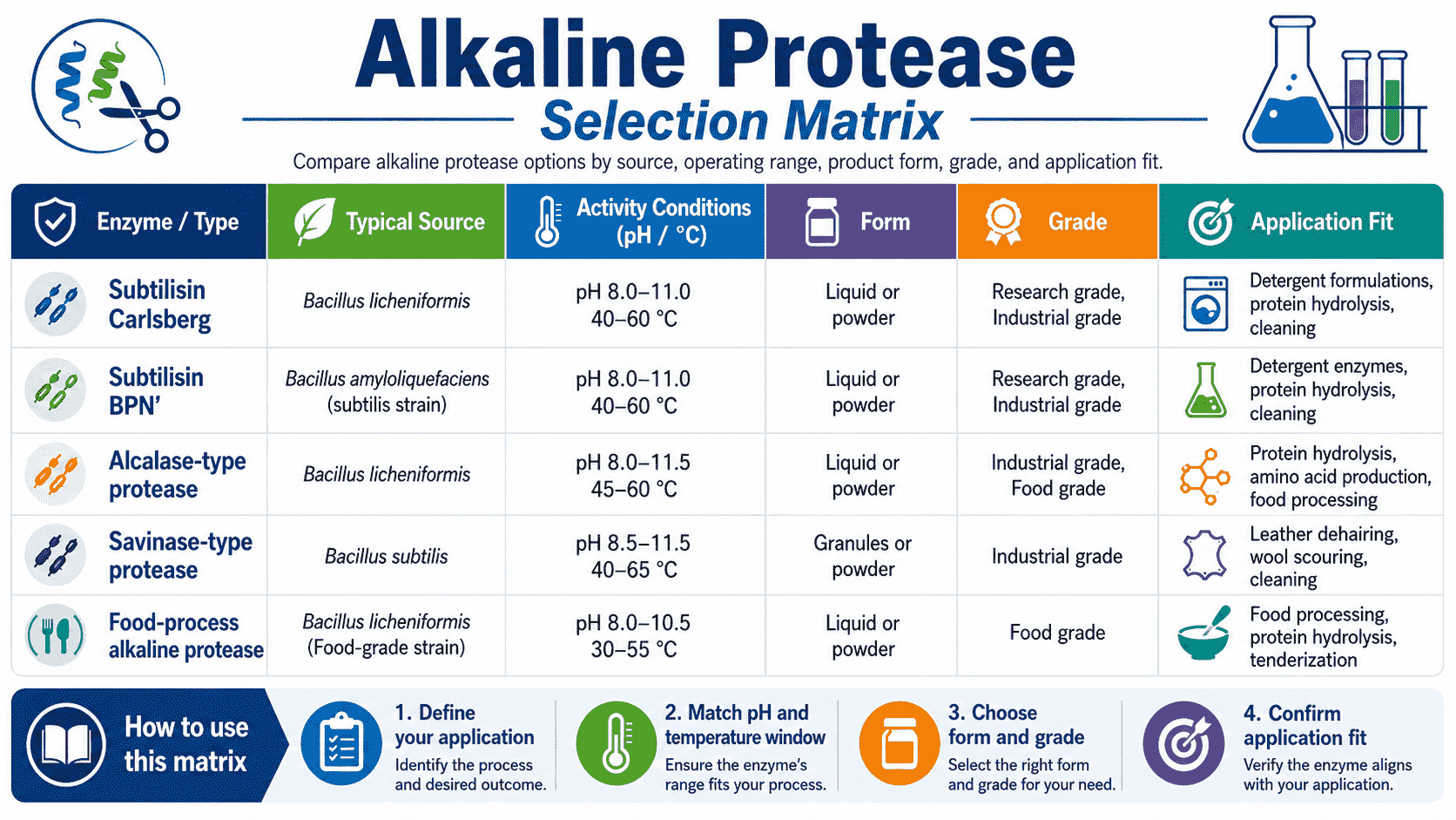 Selection matrix for Alkaline Protease comparing source, activity conditions, form, grade, and application fit