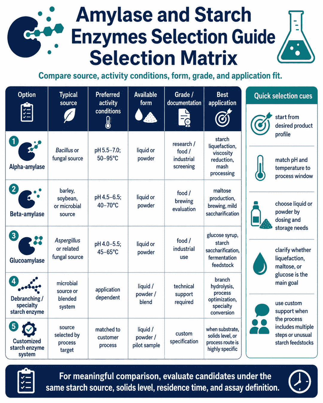 Selection matrix for Amylase and Starch Enzymes Selection Guide comparing source, activity conditions, form, grade, and application fit