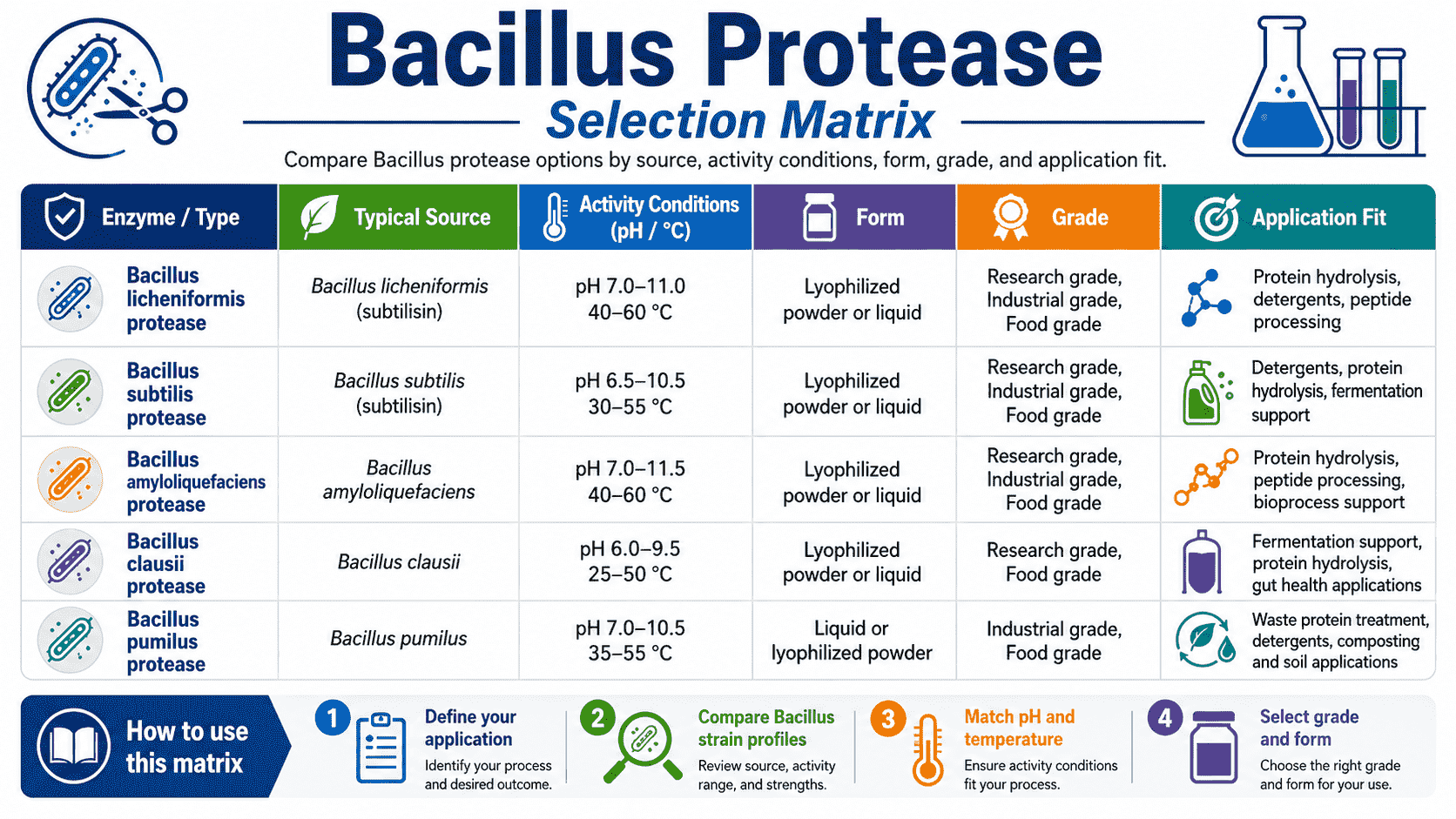 Selection matrix for Bacillus Protease comparing source, activity conditions, form, grade, and application fit
