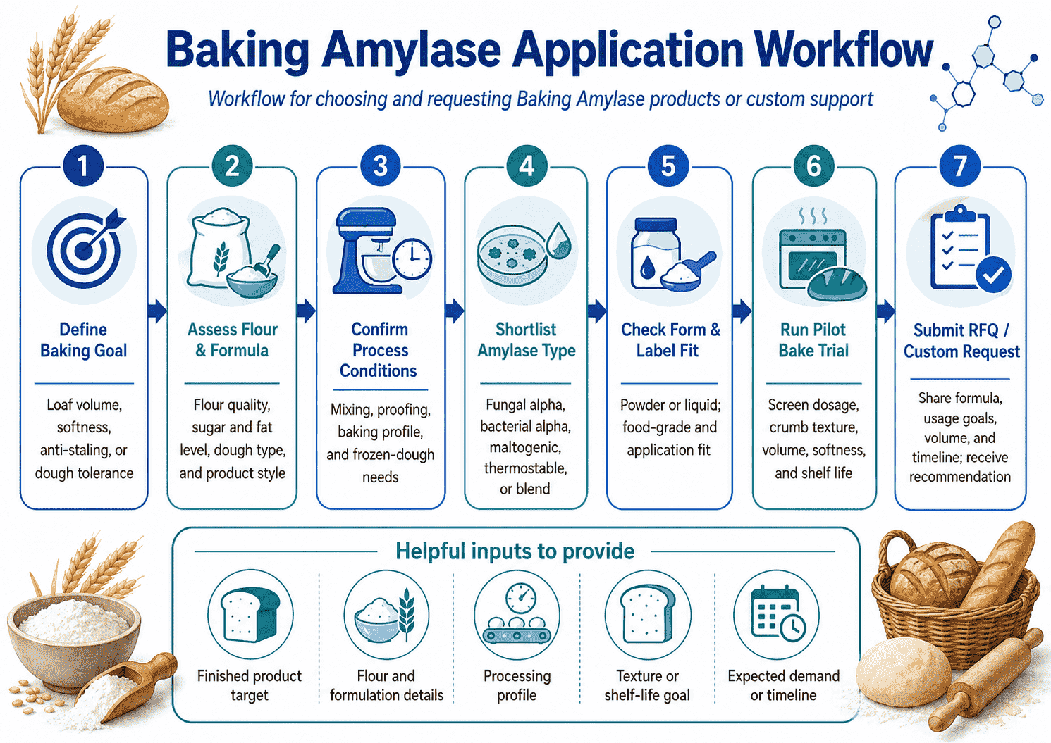 Application workflow for choosing and requesting Baking Amylase products or custom support