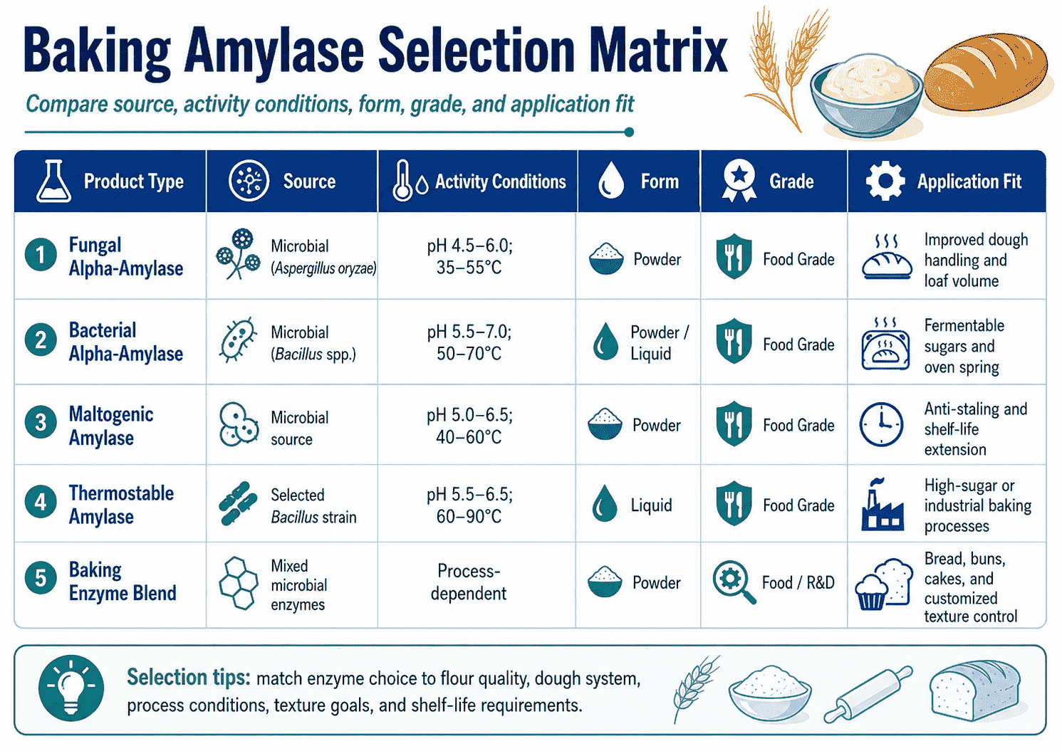 Selection matrix for Baking Amylase comparing source, activity conditions, form, grade, and application fit