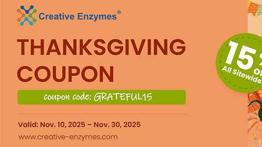 一時停止、熟考、そして節約 – この感謝祭は15%オフ！