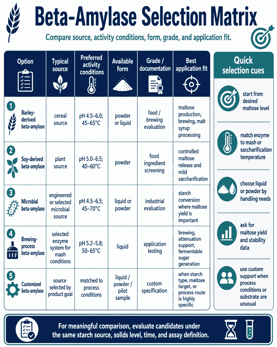 Selection matrix for Beta-Amylase comparing source, activity conditions, form, grade, and application fit