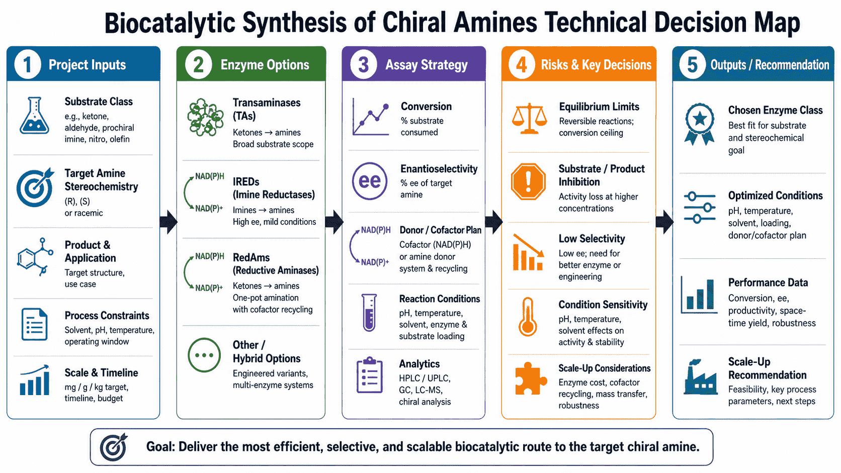 Decision map for biocatalytic synthesis of chiral amines showing route family selection, enzyme class, donor or cofactor strategy, substrate fit, chiral analytics, and optimization path