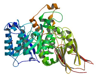 Streptococcus pneumoniaeからの血液型物質エンド-1,4-ベータ-ガラクトシダーゼの結晶構造