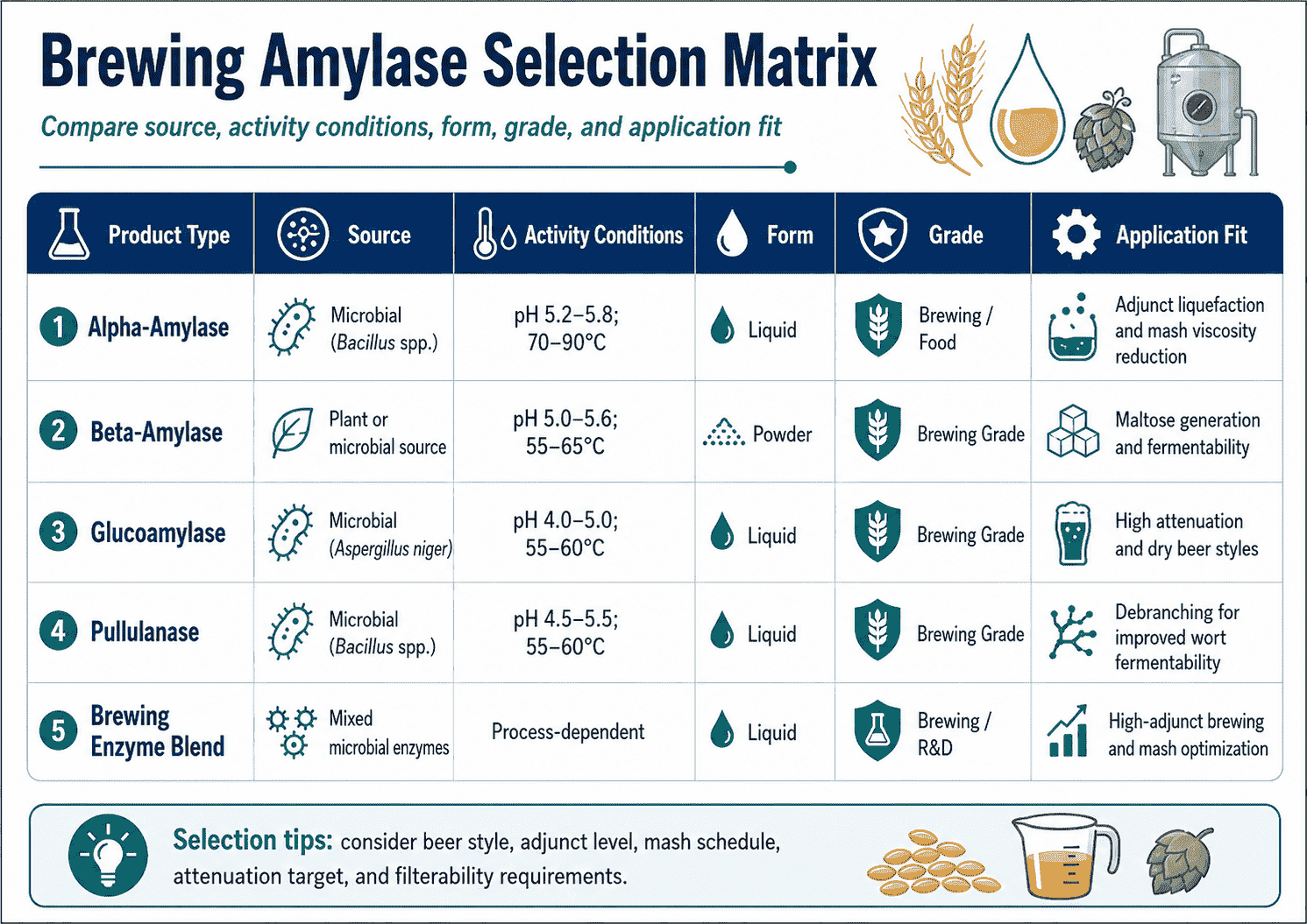 Selection matrix for Brewing Amylase comparing source, activity conditions, form, grade, and application fit