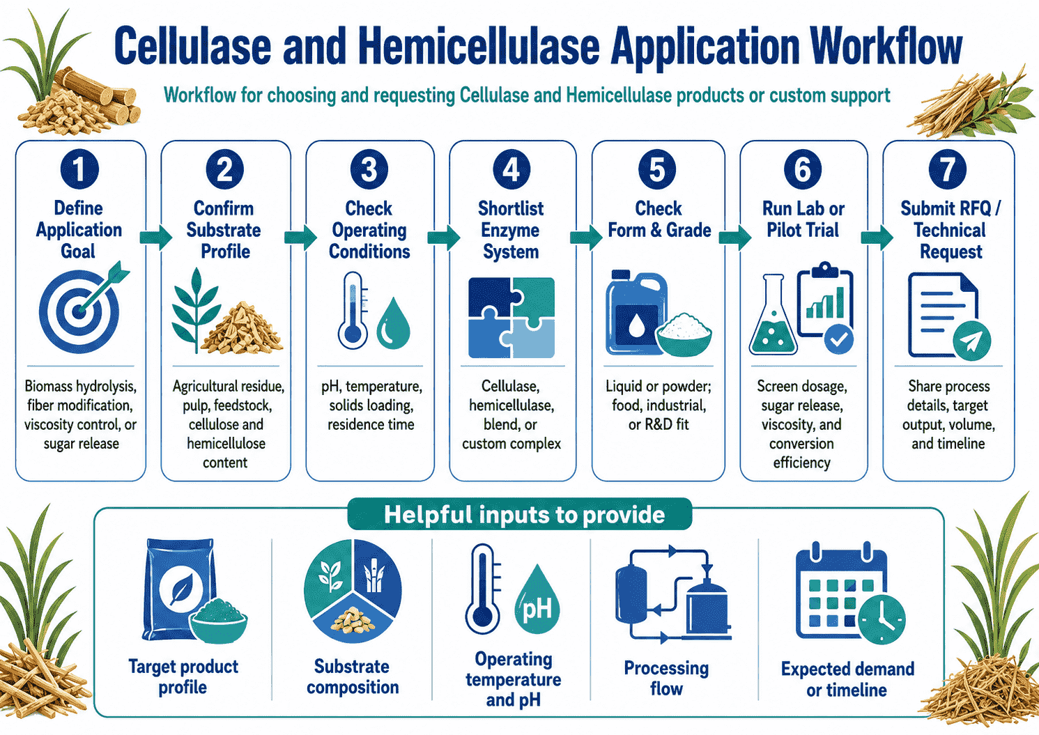 Application workflow for choosing and requesting Cellulase and Hemicellulase Selection Guide products or custom support