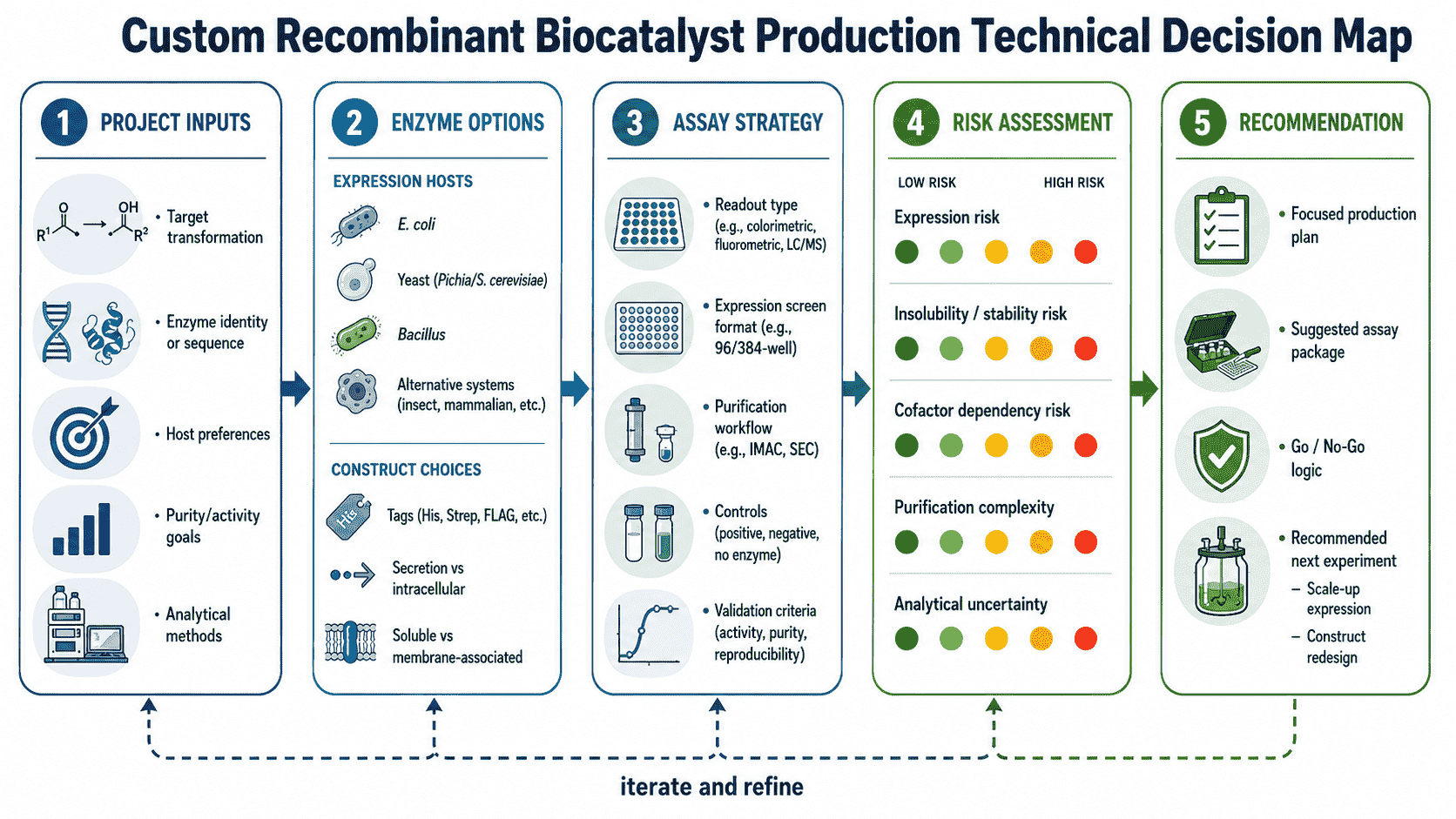 Decision map for selecting expression host, construct format, purification level, assay validation, QC requirements, and scale options for recombinant biocatalyst production