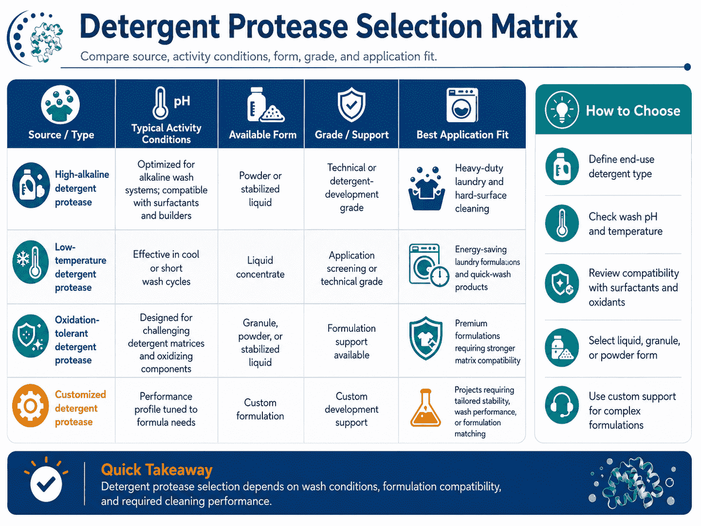Selection matrix for Detergent Protease comparing source, activity conditions, form, grade, and application fit