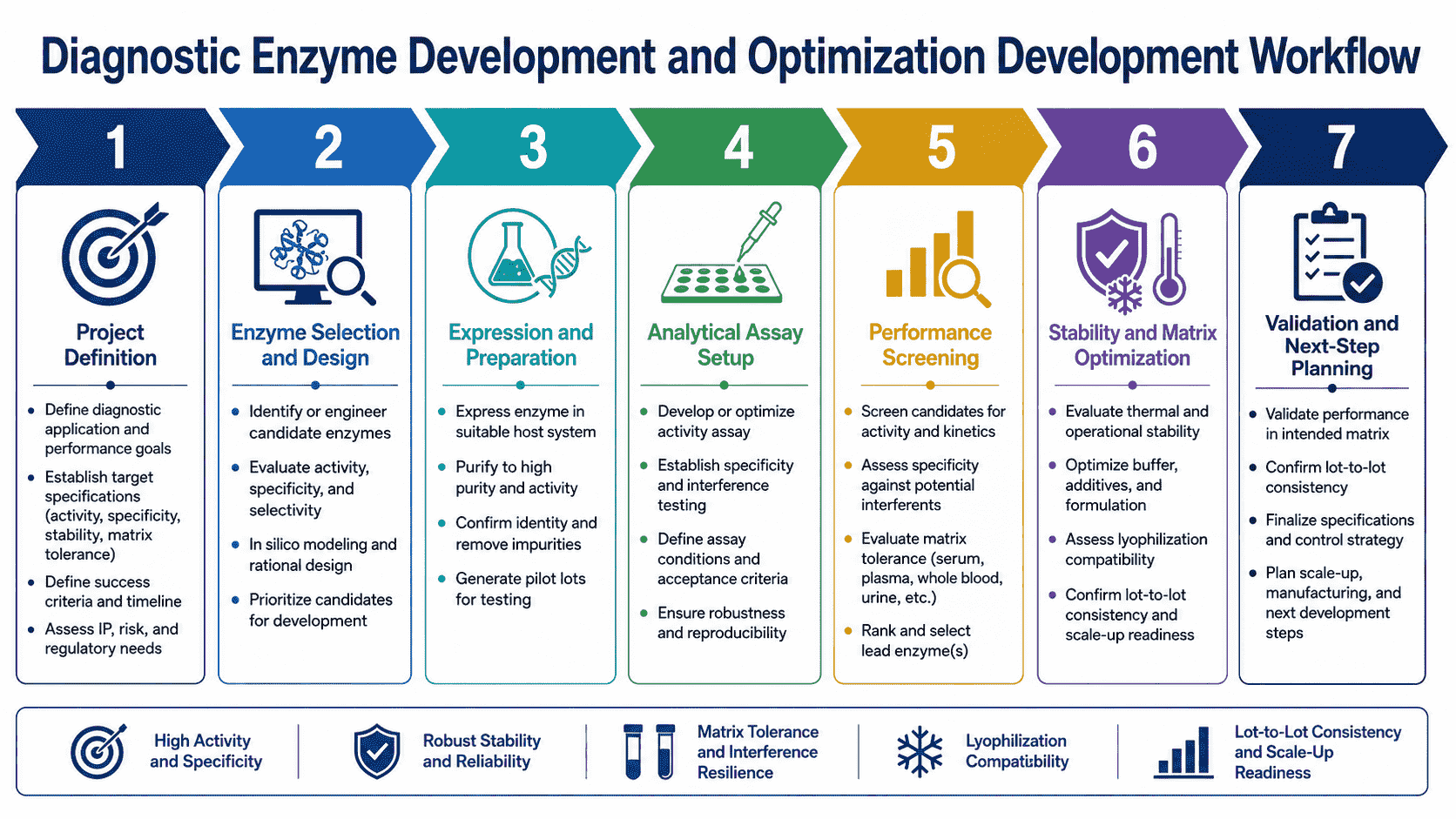 Development workflow for diagnostic enzyme optimization from assay role definition to enzyme selection, formulation, stability testing, and application verification