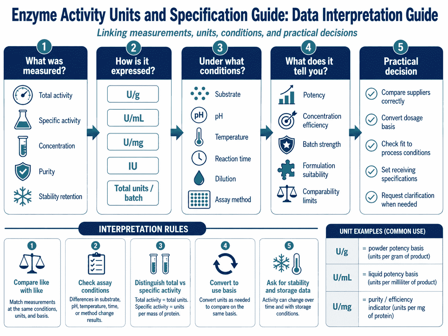 Enzyme specification data interpretation guide linking activity units, COA values, assay conditions, application trials, and procurement decisions
