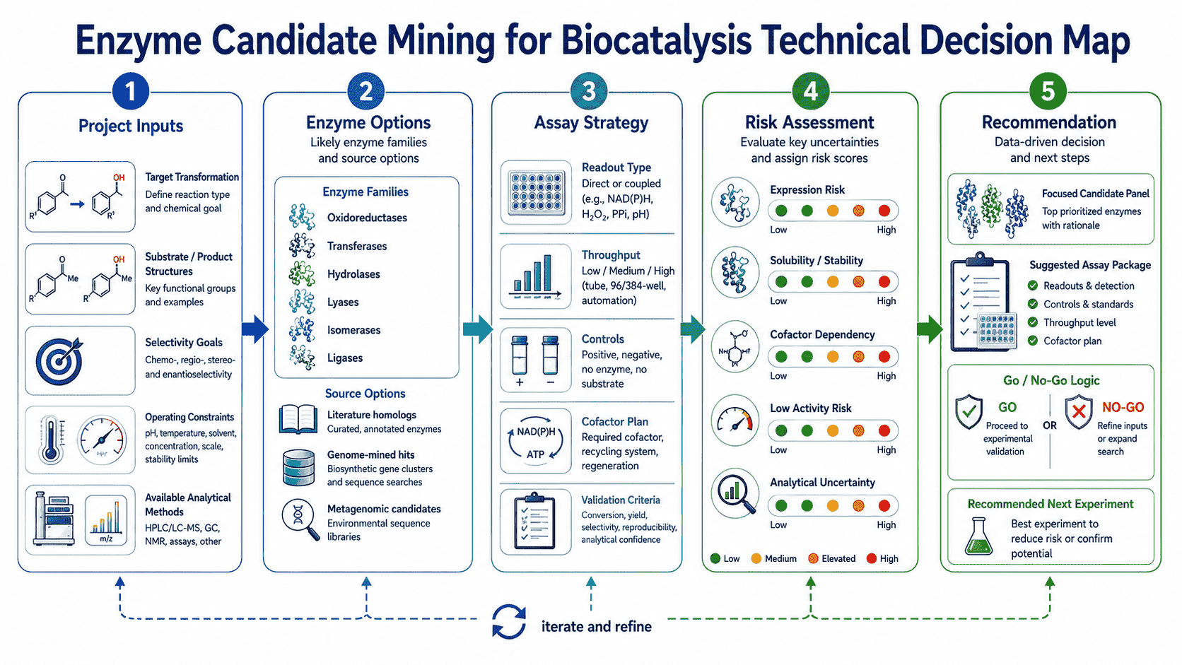 Technical decision map for Enzyme Candidate Mining for Biocatalysis showing enzyme options, assay strategy, risks, and project inputs