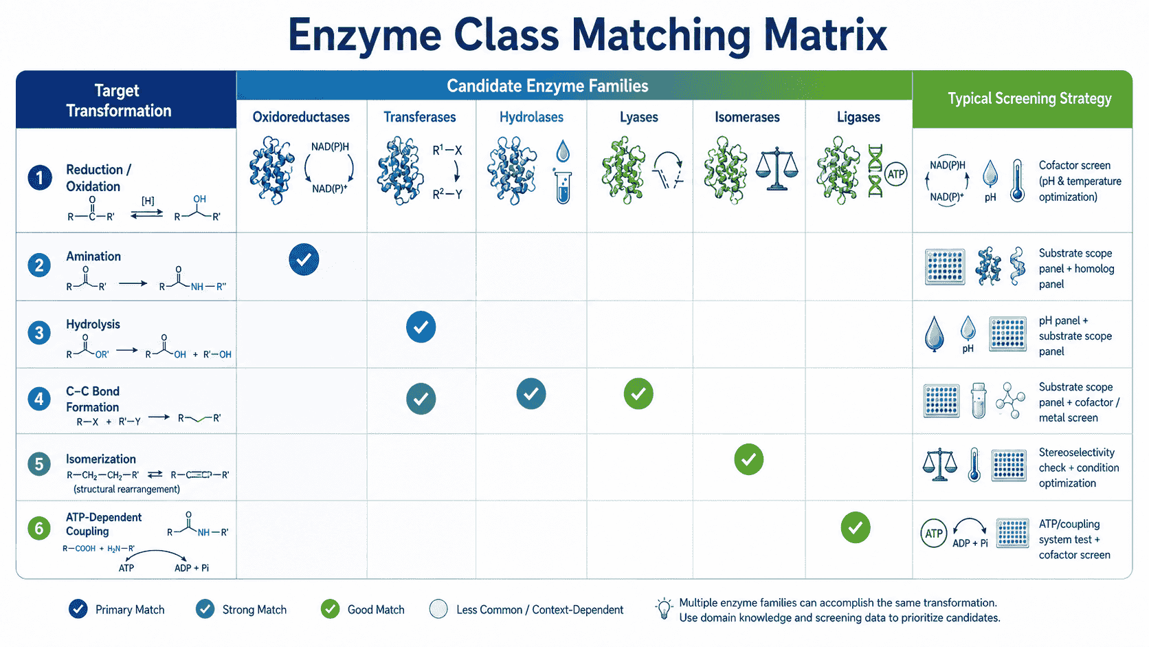 Enzyme class matching matrix for linking target transformations to candidate enzyme families and screening strategies