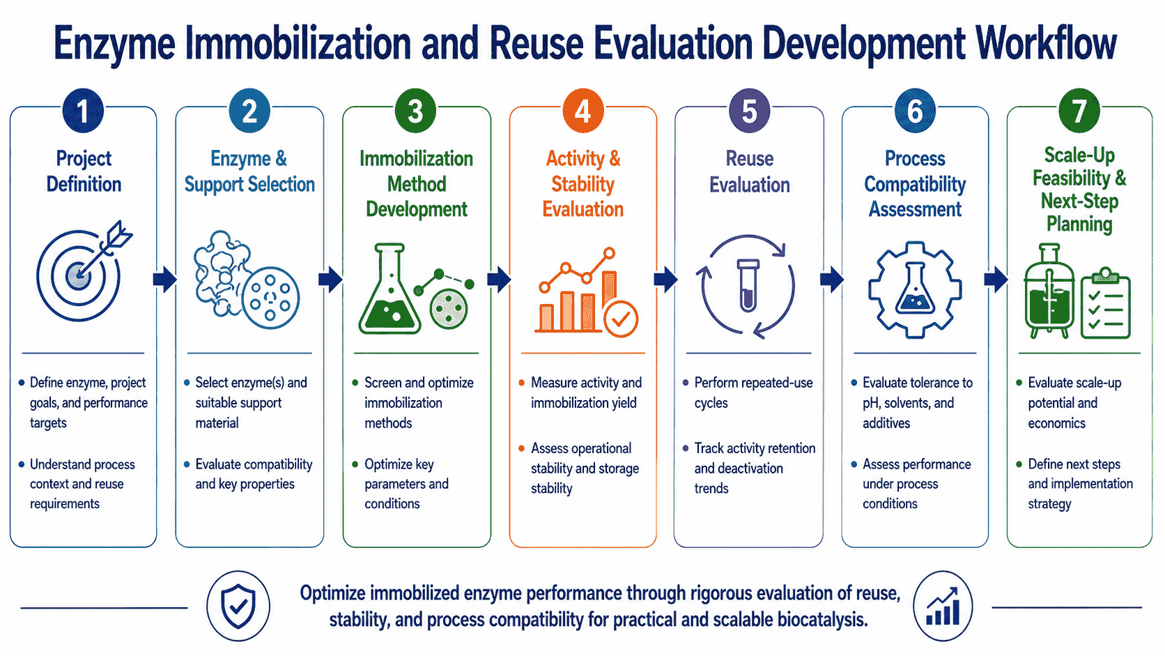 Workflow for enzyme immobilization and reuse evaluation from soluble enzyme baseline and carrier screening to activity retention, reuse cycles, stability testing, and scale decision