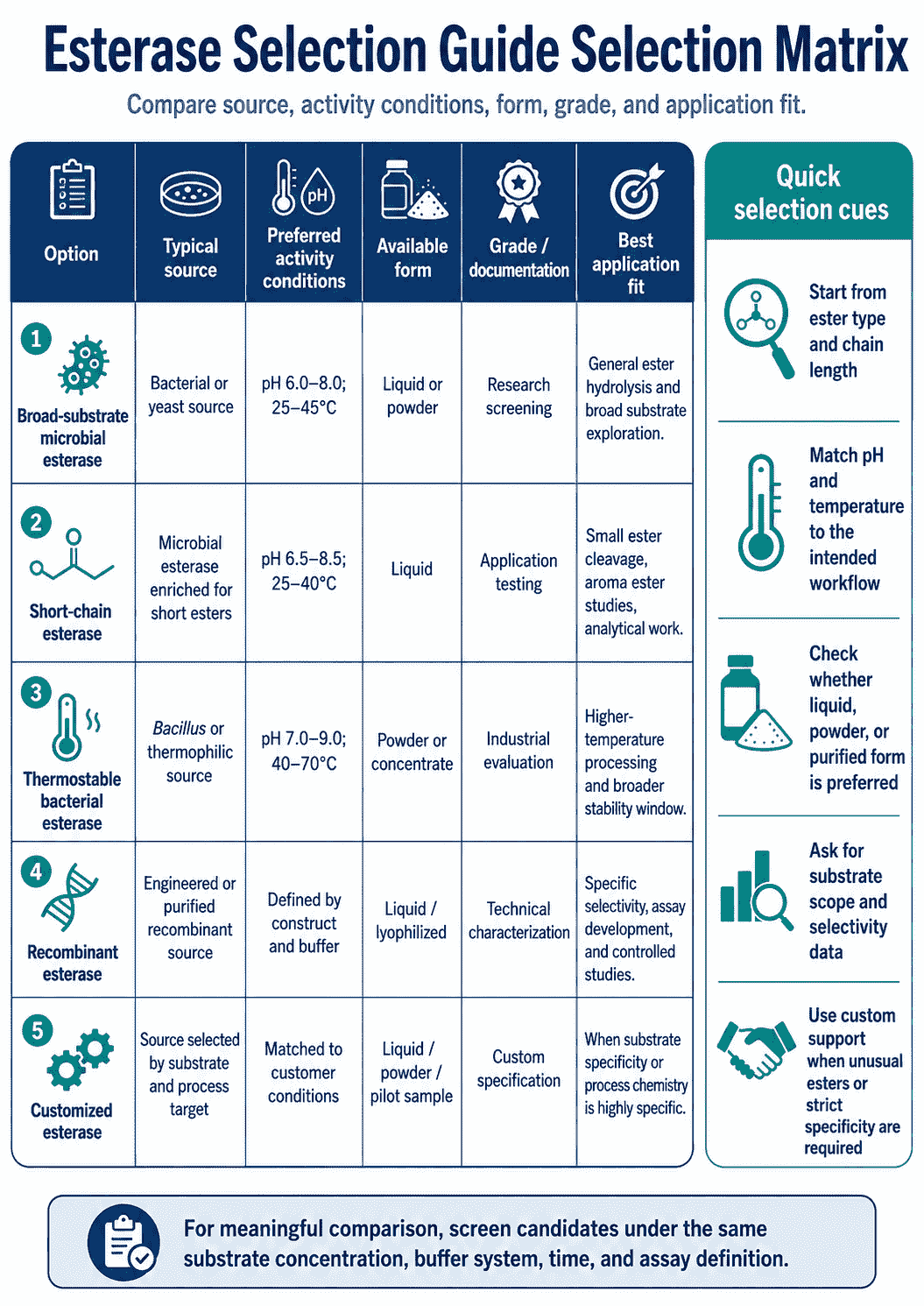 Selection matrix for Esterase Selection Guide comparing source, activity conditions, form, grade, and application fit