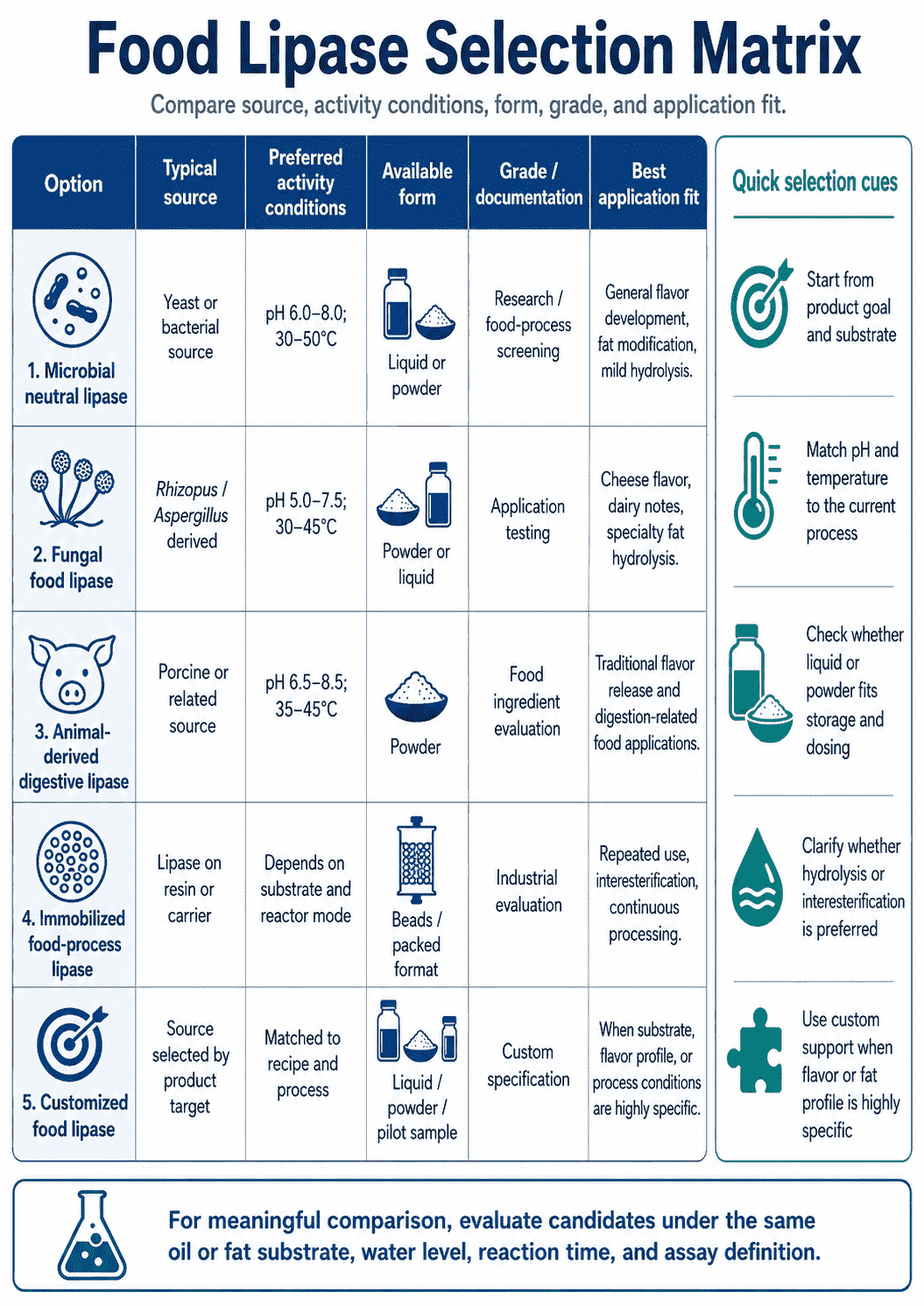 Selection matrix for Food Lipase comparing source, activity conditions, form, grade, and application fit