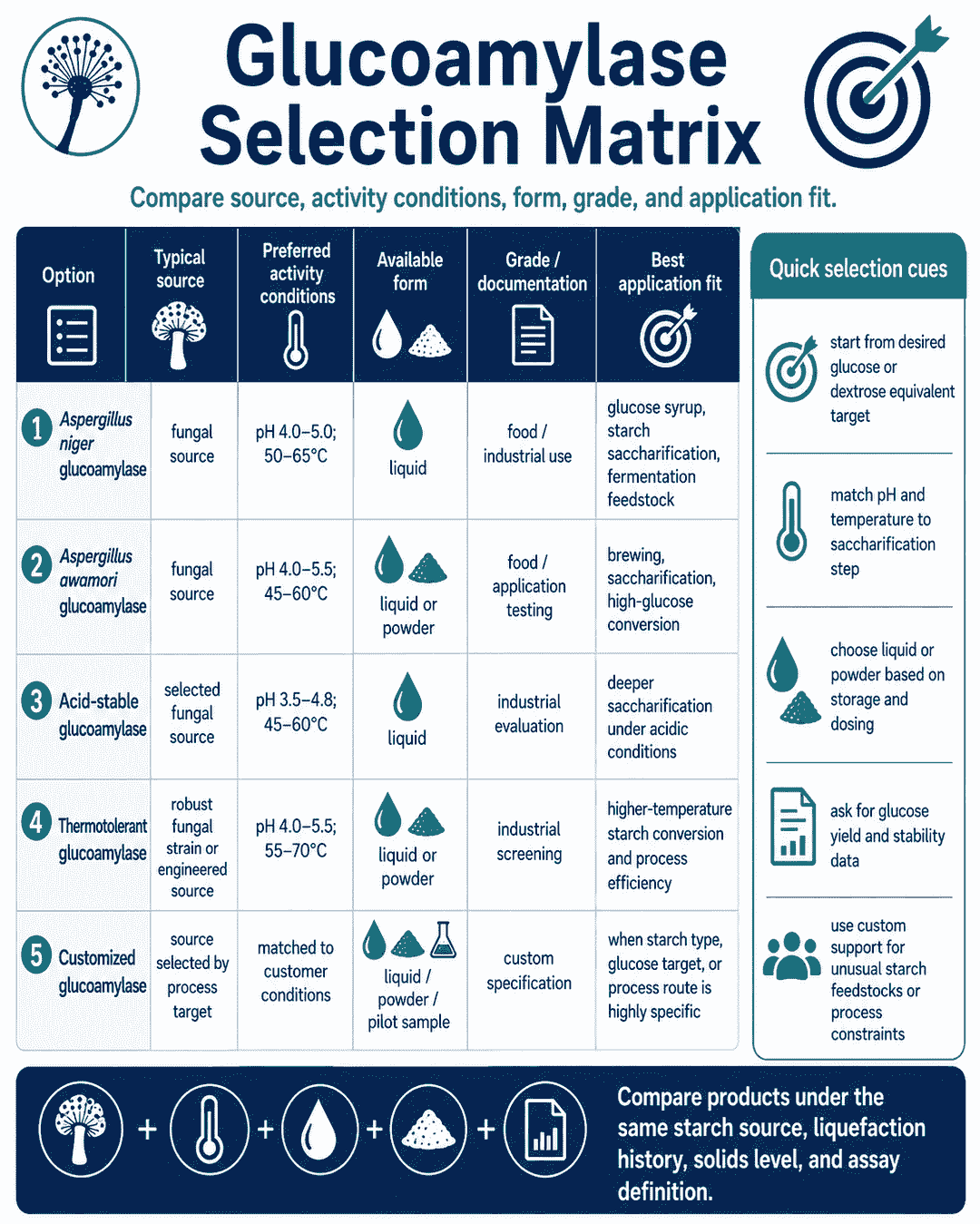 Selection matrix for Glucoamylase comparing source, activity conditions, form, grade, and application fit
