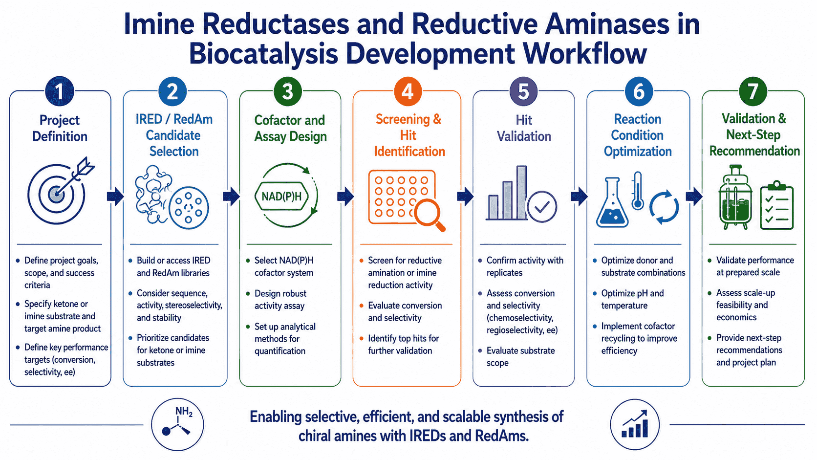 Workflow for imine reductases and reductive aminases in biocatalysis from route selection and enzyme screening to imine formation control, NADPH regeneration, product analytics, and optimization