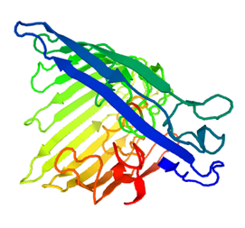 Sphingobacterium multivorumからのケラタン硫酸エンド-1,4-β-ガラクトシダーゼの結晶構造