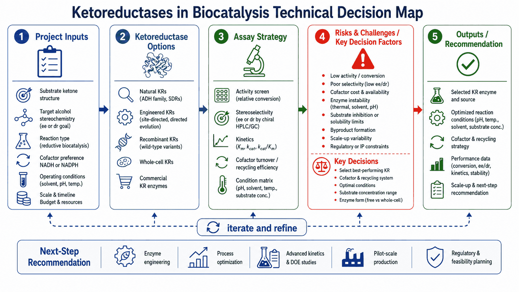Decision map for ketoreductases in biocatalysis showing substrate fit, stereochemical target, cofactor regeneration, KRED panel screening, analytics, and optimization path