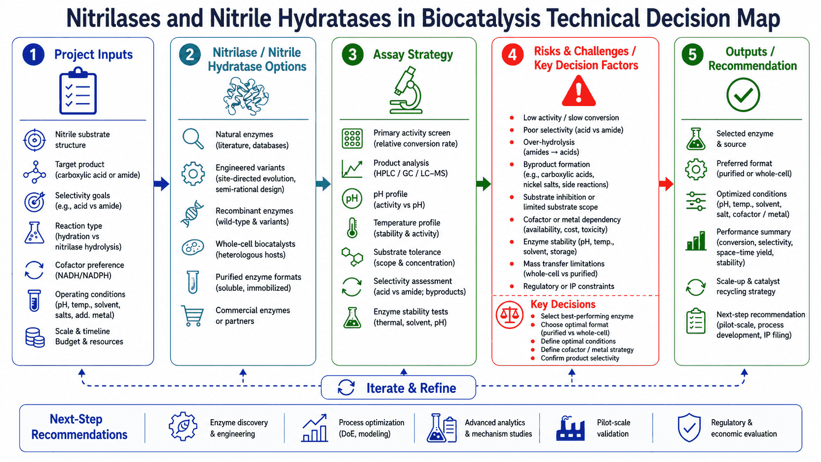 Decision map for nitrilases and nitrile hydratases showing product endpoint, enzyme class, substrate risks, metal dependence, hydrolysis control, analytical validation, and process path