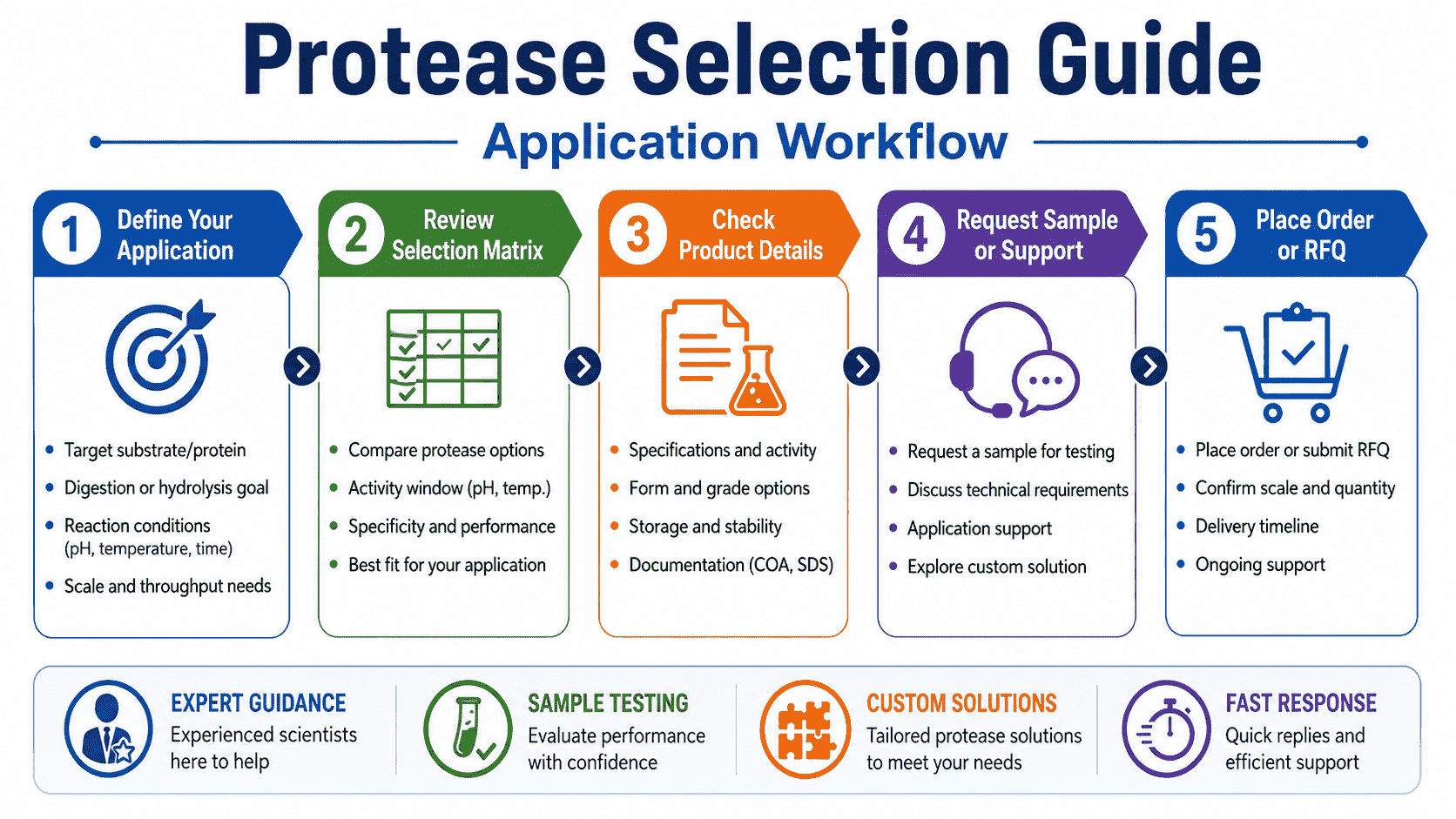 Protease application workflow from substrate definition and pH range to activity assay, compatibility testing, hydrolysis profile, product form, and RFQ preparation
