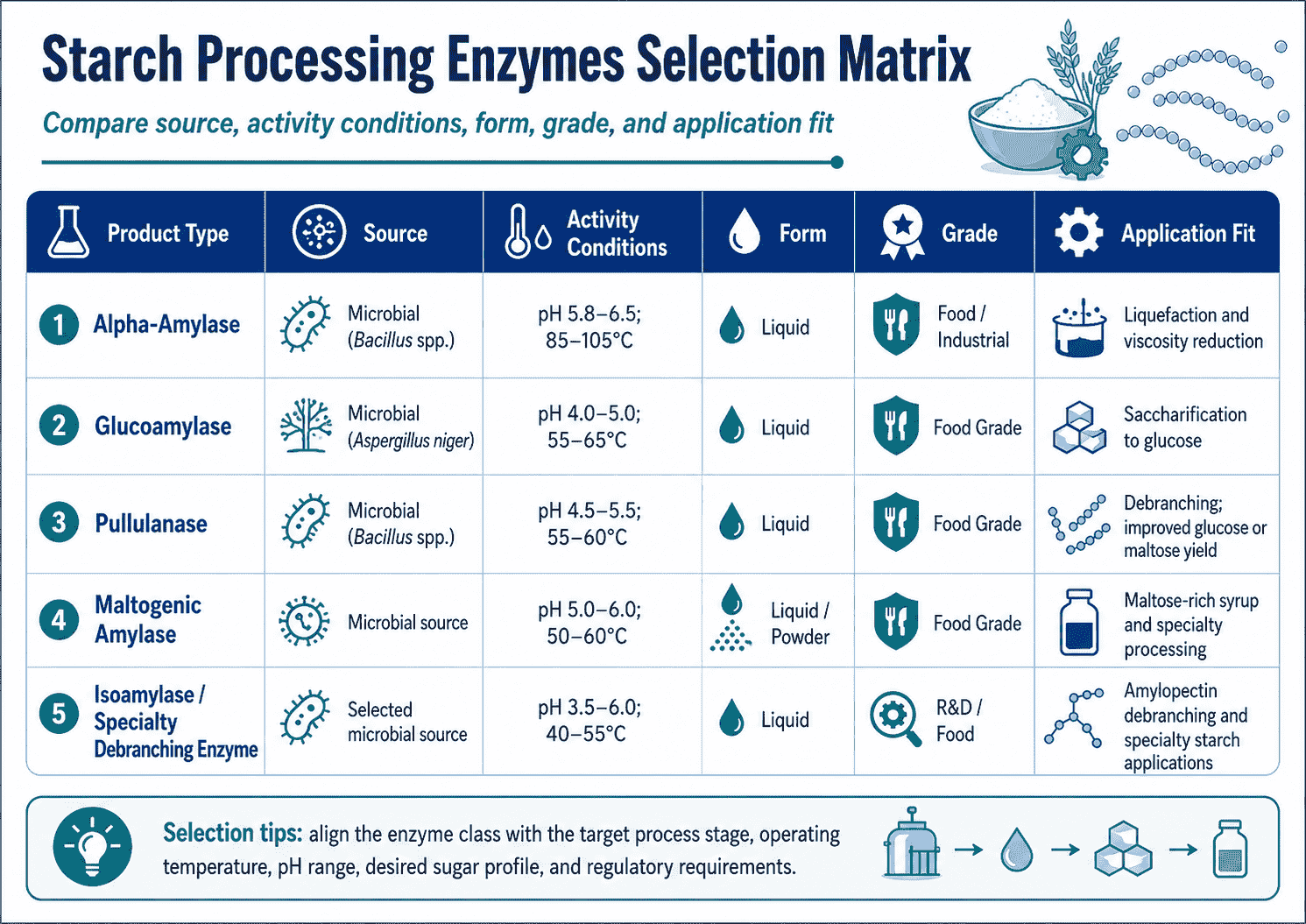Selection matrix for Starch Processing Enzymes comparing source, activity conditions, form, grade, and application fit