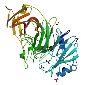 Bacillus subtilisからのendo-1,5-alpha-l-arabinanasesの天然結晶構造