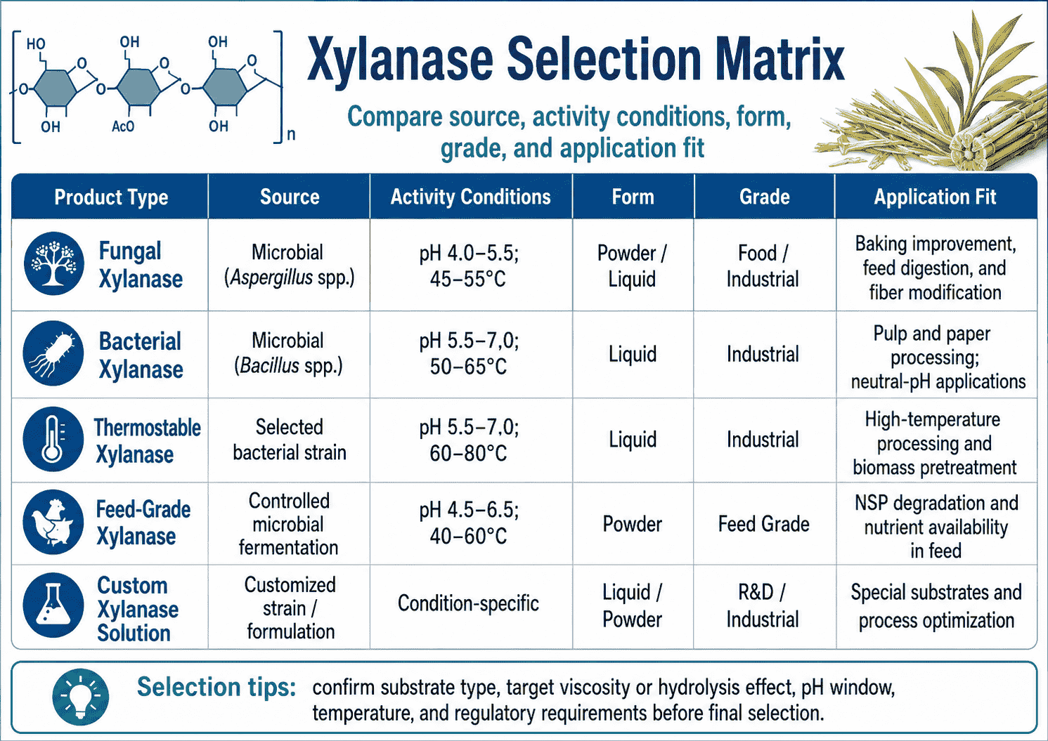 Selection matrix for Xylanase comparing source, activity conditions, form, grade, and application fit